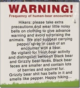 Bear warning
