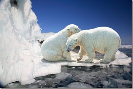 icebeakers