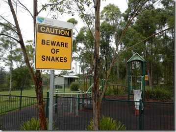 beware of snakes