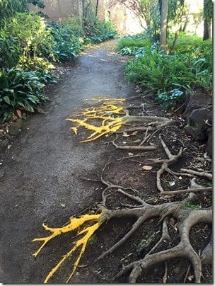 tree roots