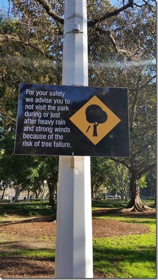 Tree sign