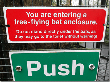bat poo