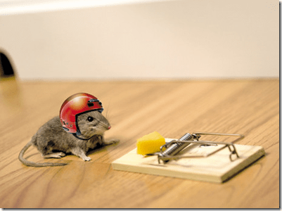 risk homeostasis