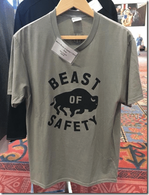 beast of safety